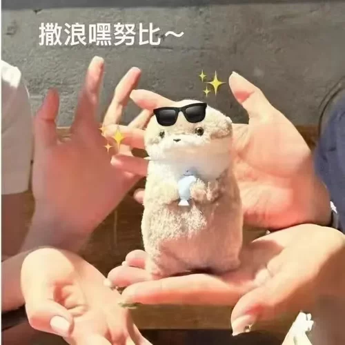 amuse可爱小水獭抱鱼毛绒玩偶挂件公仔礼物李灿送礼可爱创意礼物