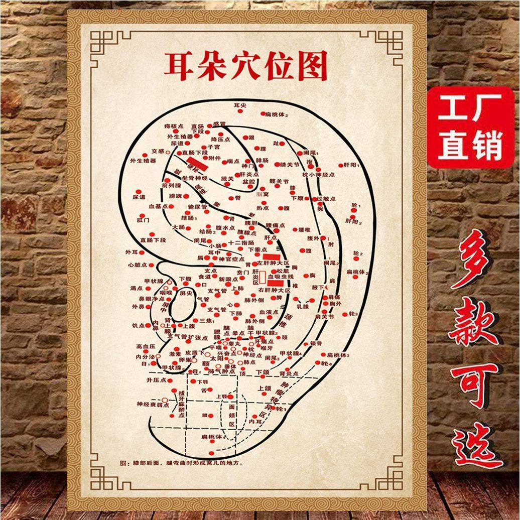 耳穴高清图耳朵穴位图耳部经络图中医养生馆装饰画海报耳部反射区,家居饰品,现代装饰画,淘宝优惠券,粉丝福利购,淘宝优惠卷