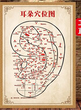 耳穴高清图耳朵穴位图耳部经络图中医养生馆装饰画海报耳部反射区