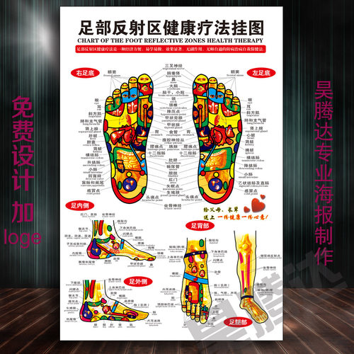 足底按摩穴位图足部反射区挂图人体穴位图足部经络穴位图挂图A189
