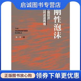 正版现货直发刚性泡沫 朱宁 著 9787508656885 中信出版集团