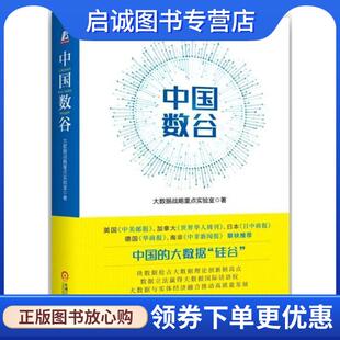 机械工业出版 正版 9787111596264 大数据战略重点实验室 社 现货直发中国数谷