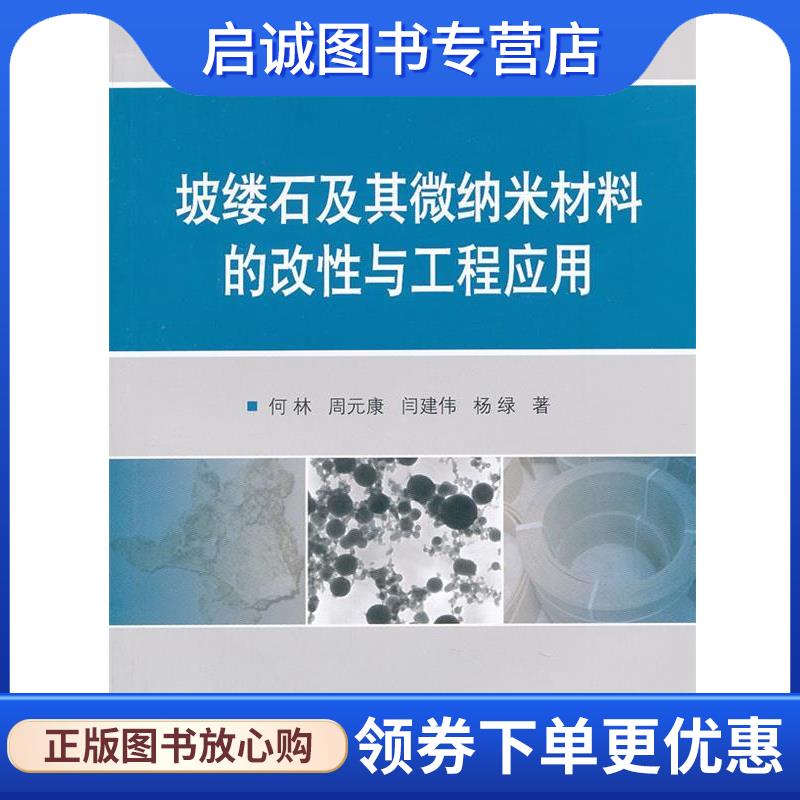 正版现货直发坡缕石及其微纳米材料的改性与工程应用 何林 等著 9787118081268 国防工业出版社
