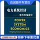 施朵夫 宋永华 刘俊勇 正版 9787508337609中国电力出版 电力市场设计 王秀丽 社 现货直发电力系统经济