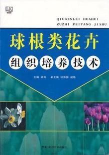 黑龙江科学技术出版 现货直发 社 主编 9787538867985 梁艳 正版 球根类花卉组织培养技术