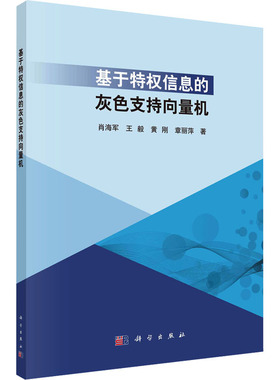 基于特权信息的灰色支持向量机：肖海军 等大中专文科社科综合大中专科学出版社