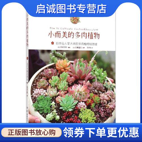 正版现货直发小而美的多肉植物 (日)主妇之友社 编著,(日)羽兼直行 监修 9787535785923 湖南科技出版社