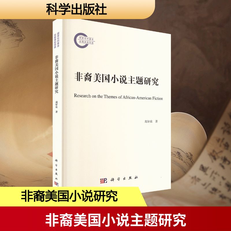 非裔美国小说主题研究庞好农外国文学理论文学科学出版社