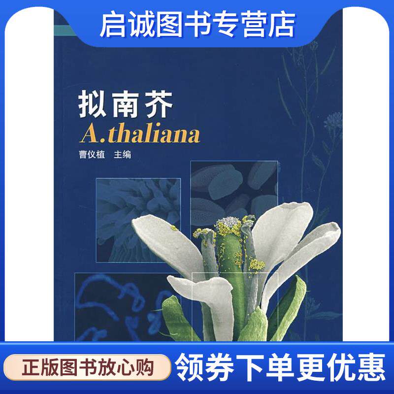 正版现货直发拟南芥 曹仪植　主编 9787040145892 高等教育出版社