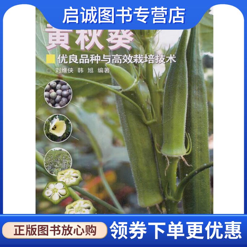 正版现货直发黄秋葵优良品种与高效栽培技术 刘维侠,韩旭 著 9787511633613 中国农业科学技术出版社