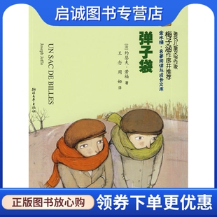 正版现货直发弹子袋,(法)约瑟夫若福 ,王念,周娅  译,浙江文艺出版社9787533926250