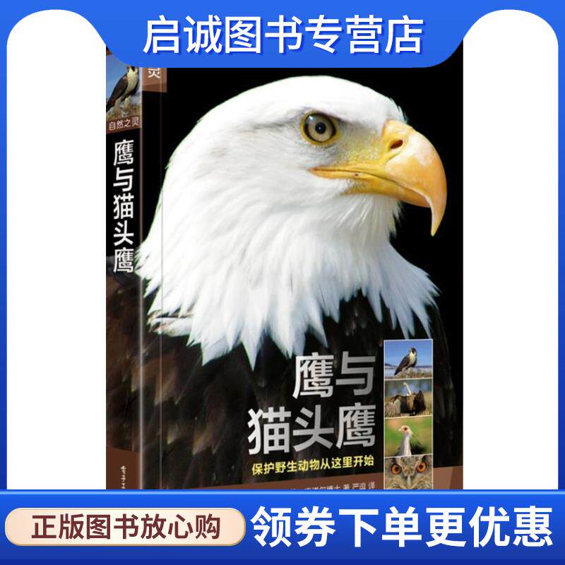 正版现货直发自然之灵鹰与猫头鹰 克林斯汀·菲林 罗兰德·克诺尔博士 著 9787121240942 电子工业出版社