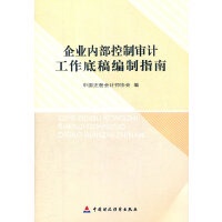 正版现货直发企业内部控制审计工作底稿编制指南 中国注册会计师协会 编 中国财政经济出版社 9787509532584