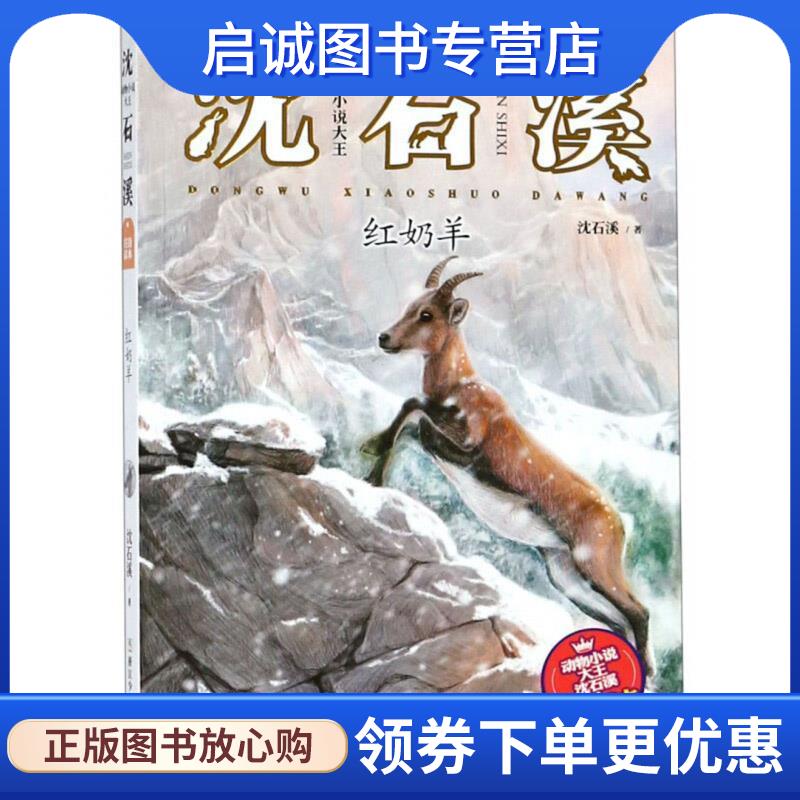 正版现货直发红奶羊 动物小说大王沈石溪注音读本 沈石溪 著 9787559711380 浙江少年儿童出版社