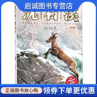 正版现货直发红奶羊 动物小说大王沈石溪注音读本 沈石溪 著 9787559711380 浙江少年儿童出版社