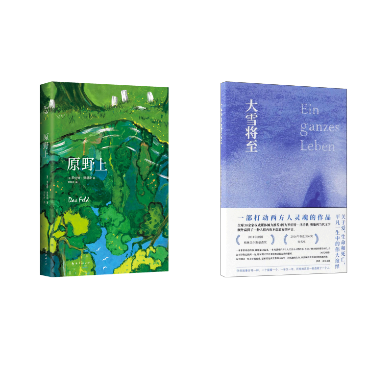 大雪将至+原野上(奥地利)罗伯特？泽塔勒外国现当代文学文学南海出版公司