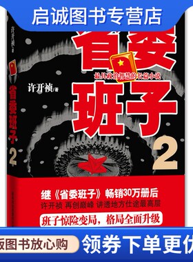 正版现货直发省委班子2 许开祯,湖南文艺出版社 9787540449193