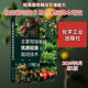主要常绿果树优质轻简栽培技术种植业专业科技化学工业出版 社9787122456335