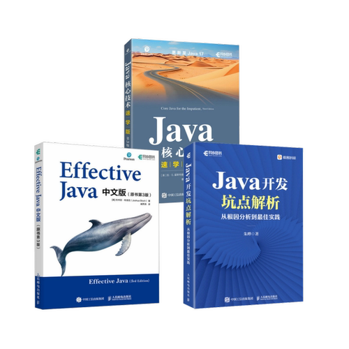 3册 Java开发坑点解析+Effective Java中文版+Java核心技术 速学版朱晔编程语言专业科技人民邮电出版社9787115630568