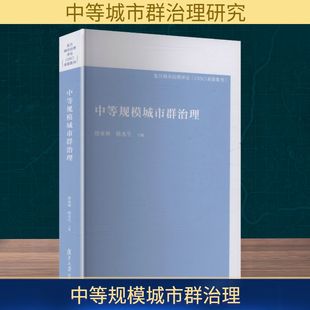 中等规模城市群治理
