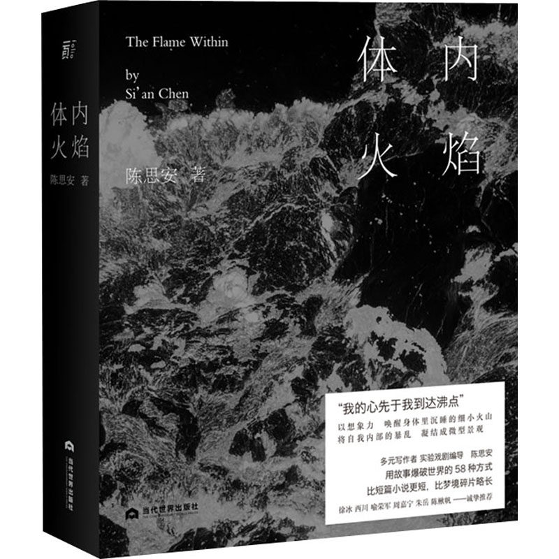 体内火焰 陈思安 中国现当代文学 文学 当代世界出版社