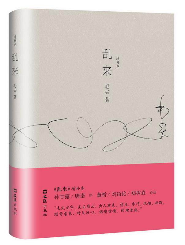 正版现货直发乱来 毛尖 文汇出版社 9787549617449