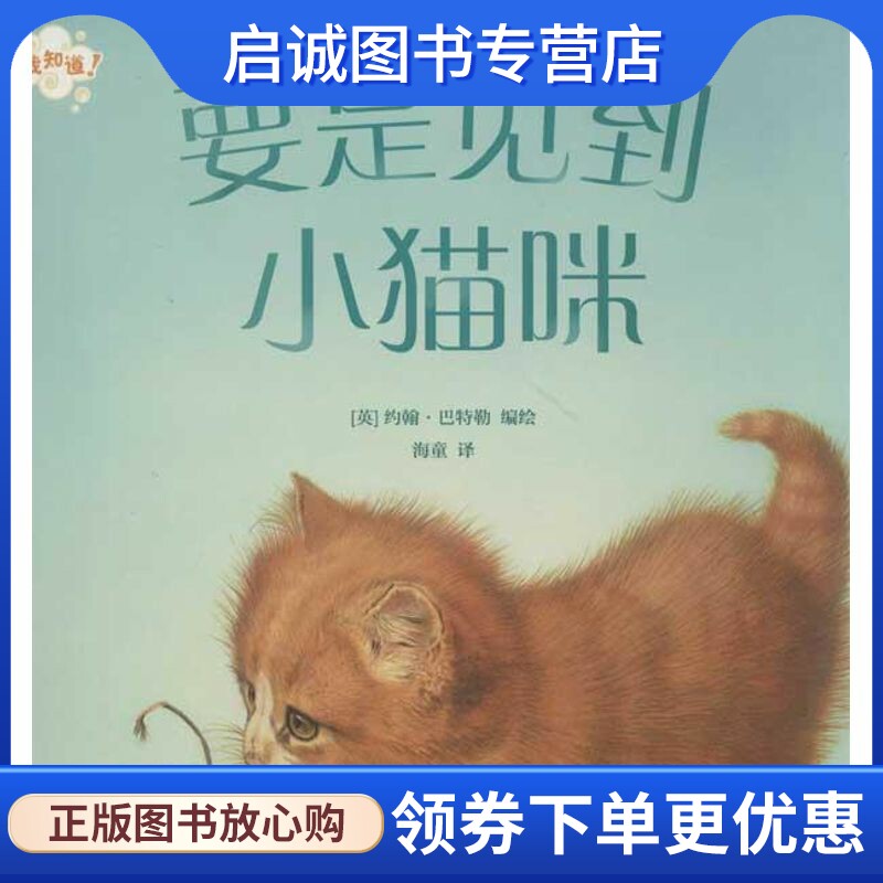 正版现货直发要是见到小猫咪 (英)约翰.巴特勒 智力开发 少儿 海豚出版社