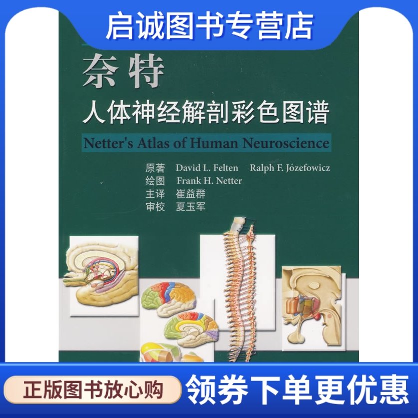 正版现货直发 奈特人体神经解剖彩色图谱 (美)费尔腾  等原著，崔益群  主译 人民卫生出版社 9787117078962