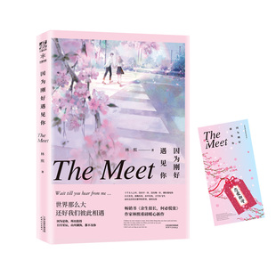 因为刚好遇见你 林熙 情感小说 文学 天津人民出版社
