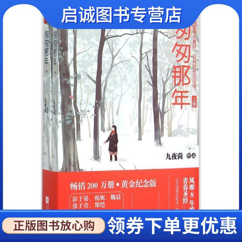 正版现货直发匆匆那年 九夜茴 9787539985626 江苏文艺出版社