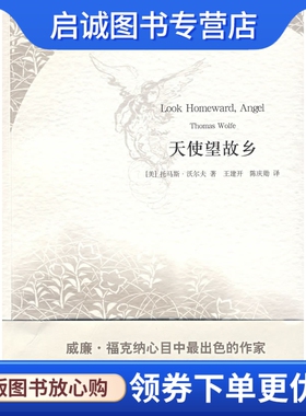正版现货直发天使望故乡,沃尔夫,王建开,陈庆勋,上海译文出版社9787532748198