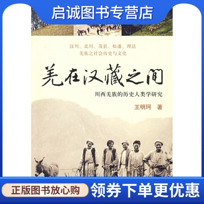 正版现货直发羌在汉藏之间,王明珂,中华书局9787101061673