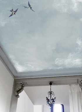 Isidore Leroy Sky 法国原装进口定制壁画 天花板祥云飞鸟背景墙