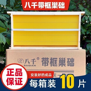 中蜂巢础八千成品巢框蜂巢意蜂全套带框蜜蜂蜡片巢脾蜂箱养蜂工具