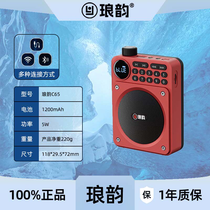 琅韵C65收音机老人便携式播放器广播随身听评书机音箱FM插U盘TF卡