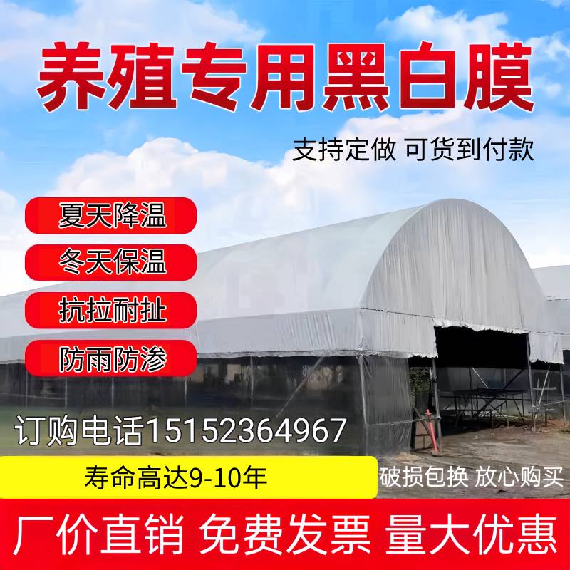 50万+人已购买回头客30万+黑白膜