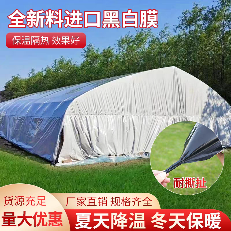 加厚黑白膜防渗膜降温反光膜食用菌青储养殖养鸡隔热绿白膜大棚膜