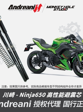 Andreani 安德烈尼 川崎 忍者650 改装避震器  减震器 前叉