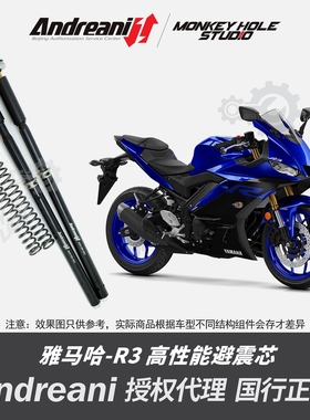 Andreani 安德烈尼 YAMAHA雅马哈 R3 改装避震器 减震器 前叉