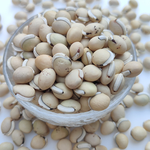 食鉴本草优选 白扁豆 国产正品新货 自用级 家种老品种较干净250g