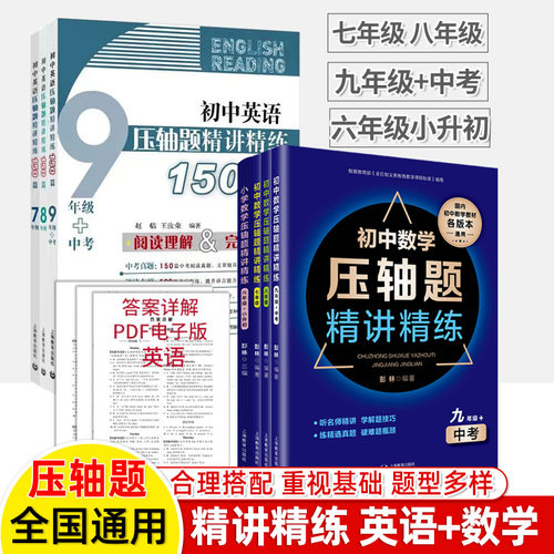 初中数学挑战压轴题精讲精练