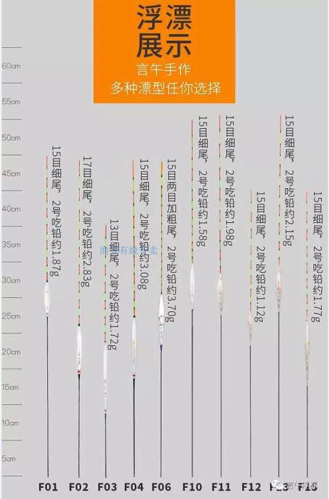达摩言午最新款浮漂黑坑休闲野钓专用漂
