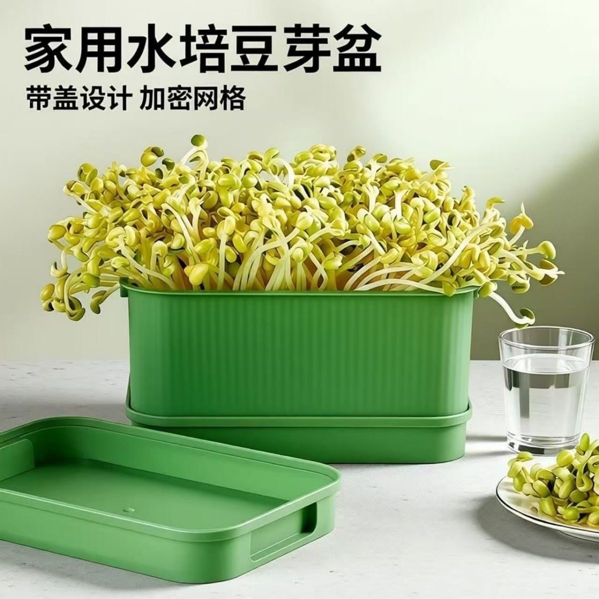 发豆芽专用加厚育苗盆发芽神器家用发豆芽机种植发芽盆种菜专用盆