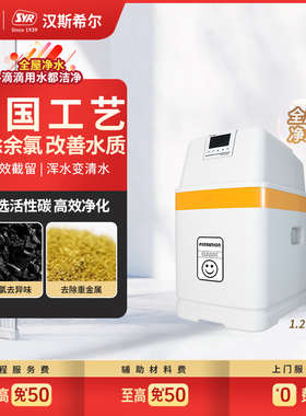 德国汉斯希尔中央净水机别墅全屋家用活性炭延时反冲洗净水过滤器