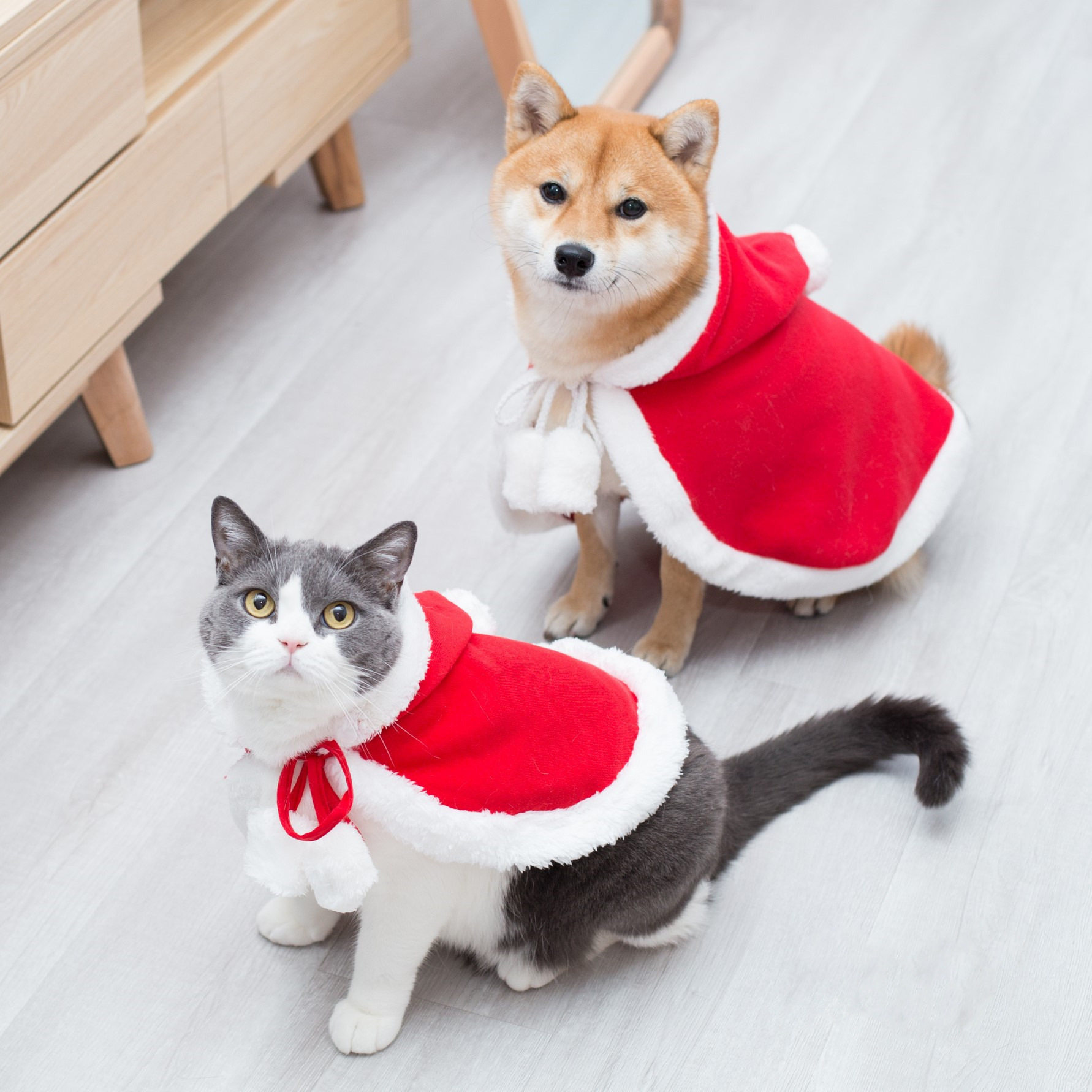 新款狗狗猫咪圣诞装扮小红帽披风衣服氛围小鹿披肩可爱小孩斗篷