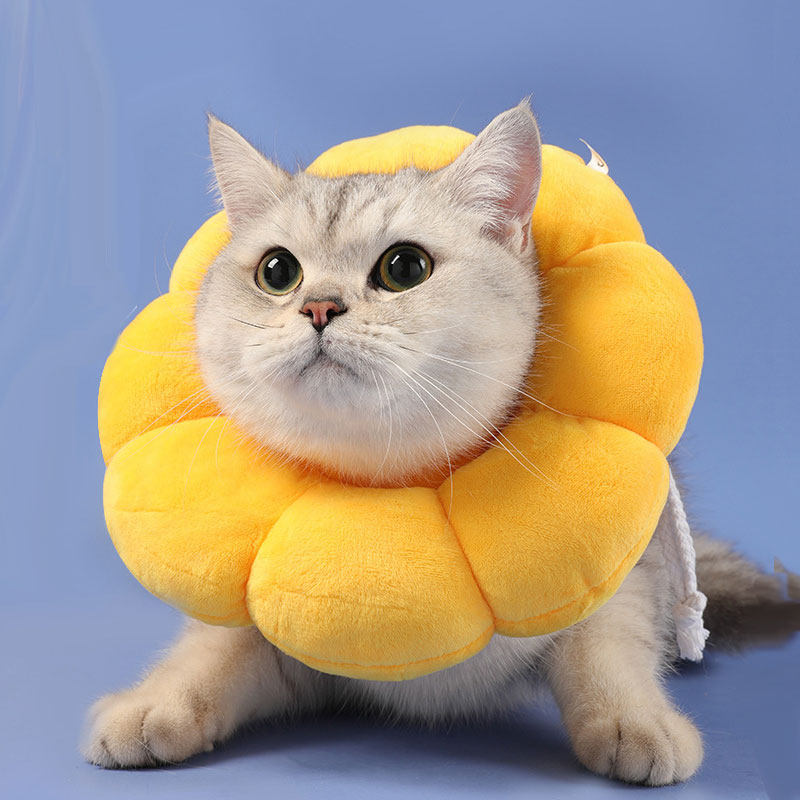 防舔绝育猫咪柔软伊丽莎白圈