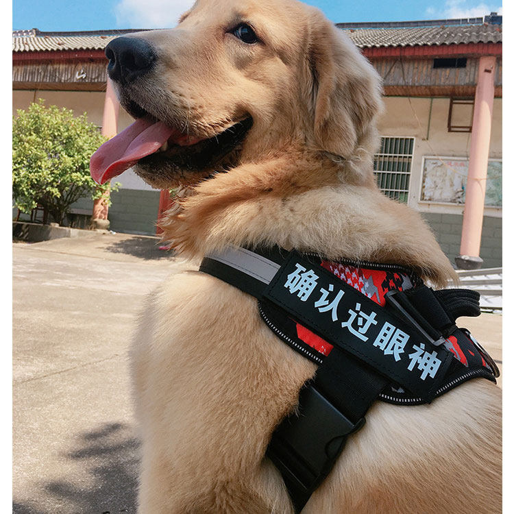舒适可调节背心式狗狗牵引绳大型犬边牧金毛拉布拉多通用k9胸背带