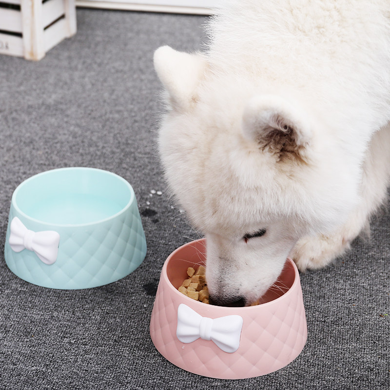 可爱马卡龙色宠物猫咪狗狗塑料碗