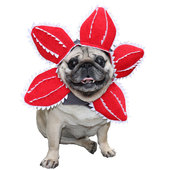 2023新款 万圣节宠物猫咪狗狗搞笑头套食人花帽子搞怪恶魔装 扮头饰