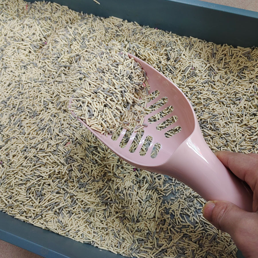 糖果色宠物猫咪用猫砂铲